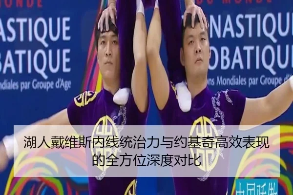 湖人戴维斯内线统治力与约基奇高效表现的全方位深度对比